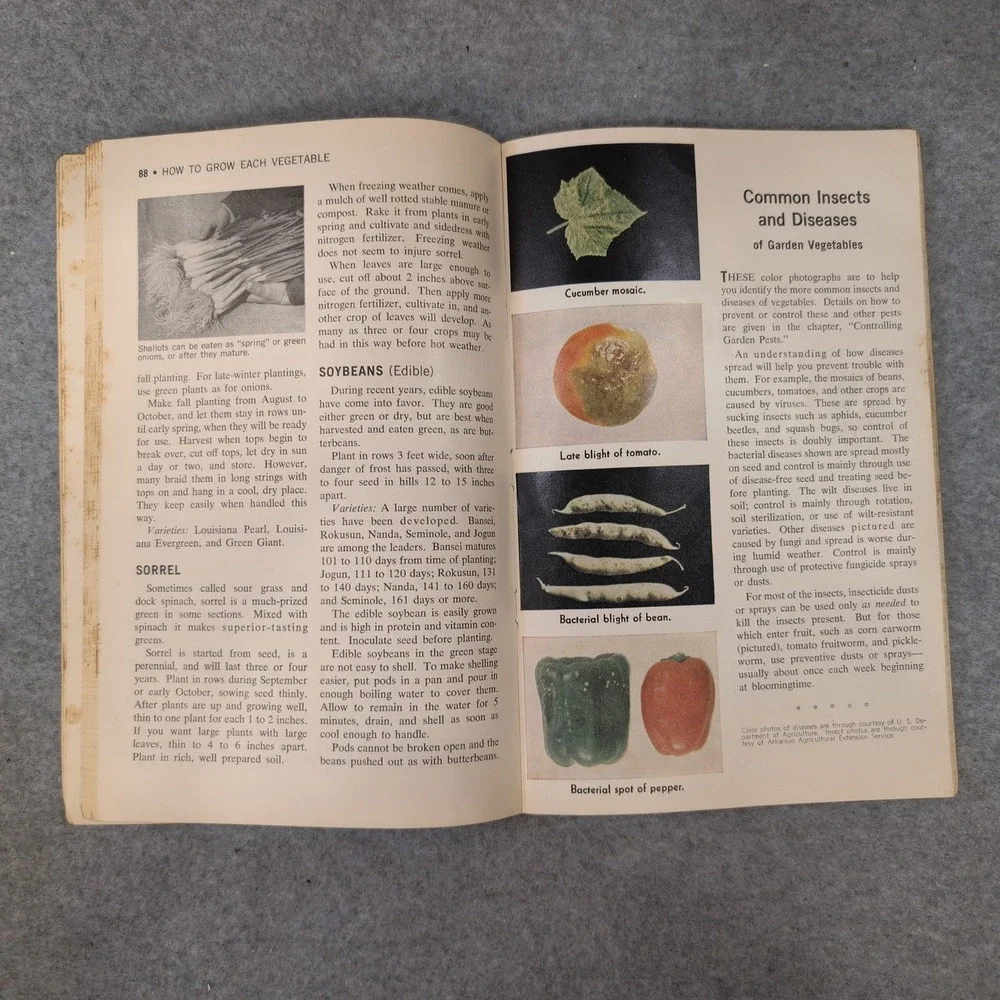 Vintage 1961 The Progressive Farmers‎ Garden Book For The South *Scarce*
